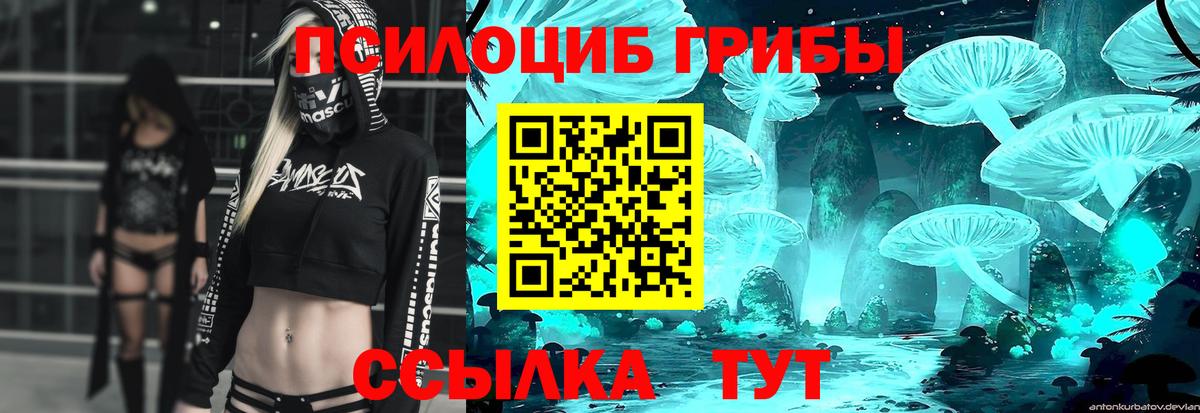 хочу наркоту  Вход с VPN  Новочеркасск  Псилоцибиновые грибы прущие грибы 